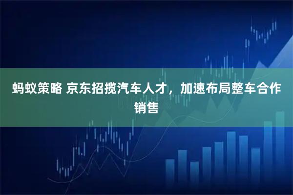 蚂蚁策略 京东招揽汽车人才，加速布局整车合作销售