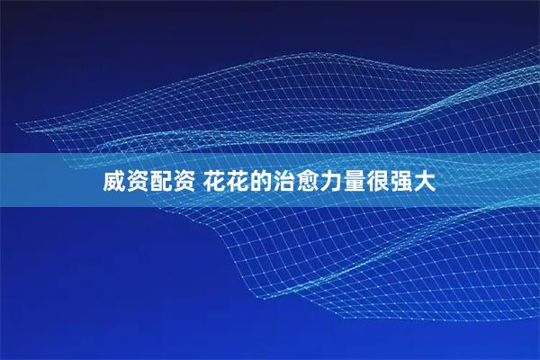 威资配资 花花的治愈力量很强大