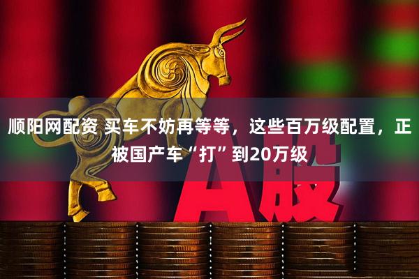 顺阳网配资 买车不妨再等等，这些百万级配置，正被国产车“打”到20万级