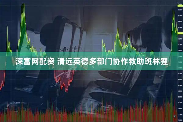 深富网配资 清远英德多部门协作救助斑林狸