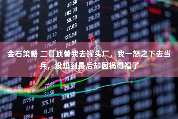 金石策略 二哥顶替我去罐头厂，我一怒之下去当兵，没想到最后却因祸得福了